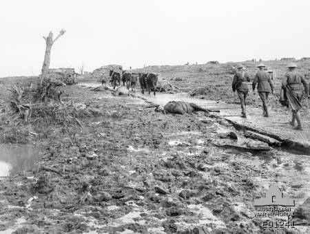 Anzac Corduroy Road Belgium 1917 WWI