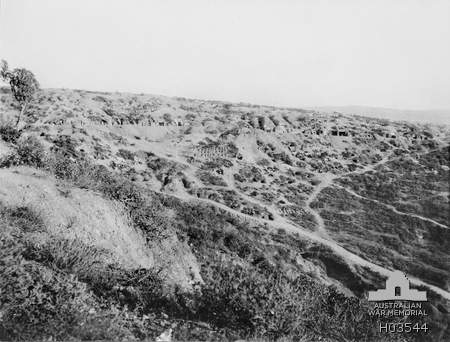 Lone Pine Gallipoli 1915